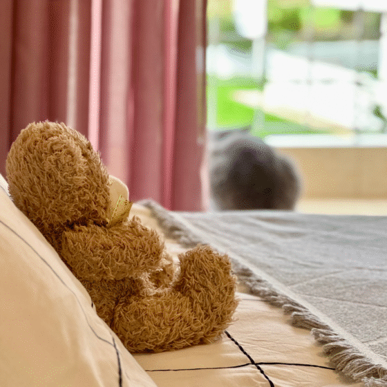 Tips for Empty Nesters: Making Your Adult Child’s First Visit Home Special