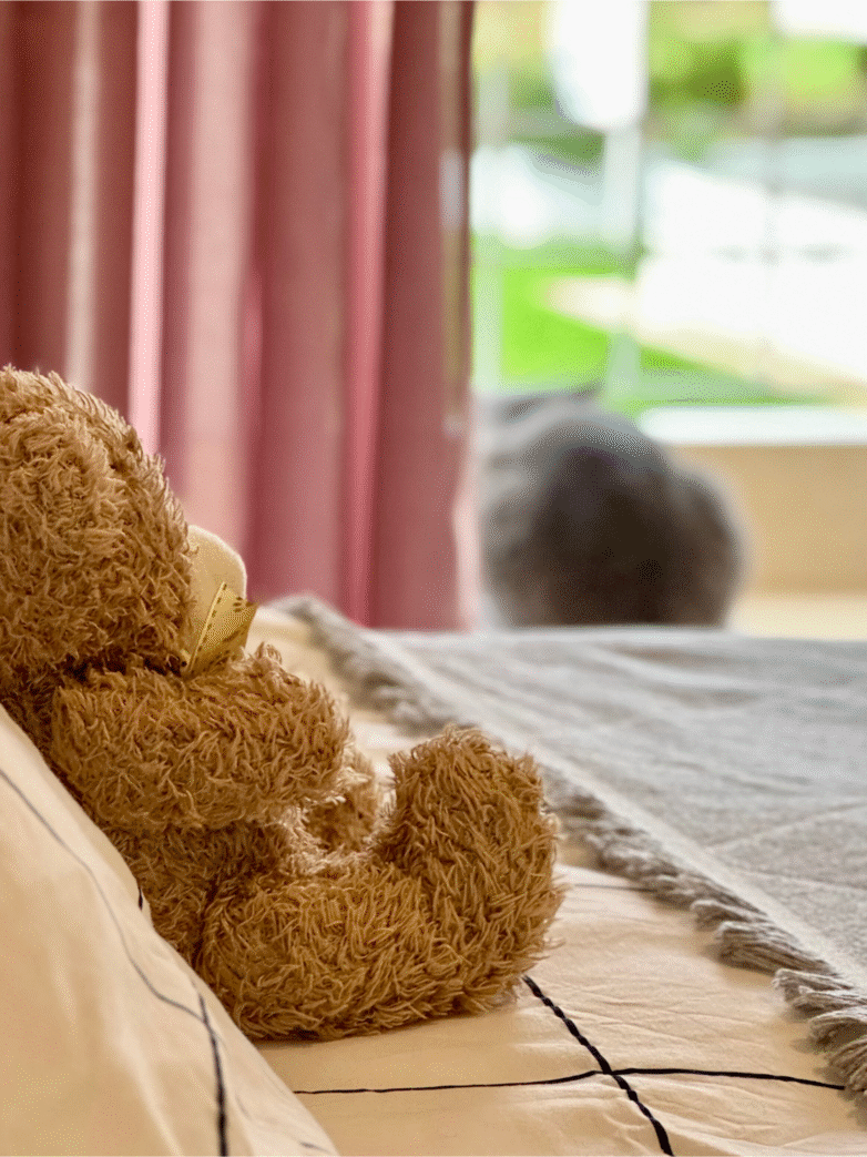 Tips for Empty Nesters: Making Your Adult Child’s Coming Home Special